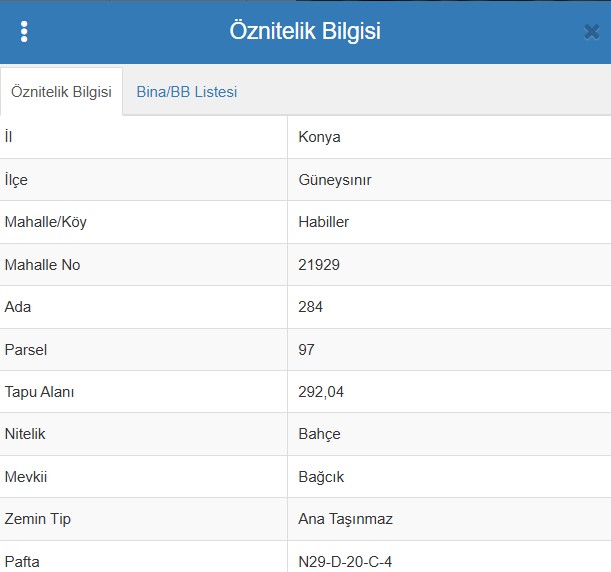 Fotoğraf